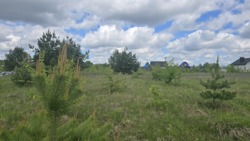 Продаж ділянки 8 соток с.Оліївка фото 1 Продаж ділянки 8 соток с.Оліївка фото 1