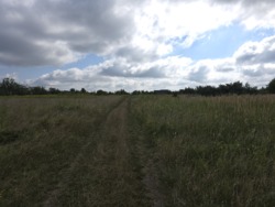 Продається ділянка Житомирська, Житомир, Аеропорт, Коростенська вул. фото 3 Продається ділянка Житомирська, Житомир, Аеропорт, Коростенська вул. фото 3