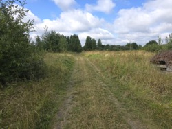 Продається ділянка Житомирська, Житомир, Аеропорт, Коростенська вул. фото 4 Продається ділянка Житомирська, Житомир, Аеропорт, Коростенська вул. фото 4