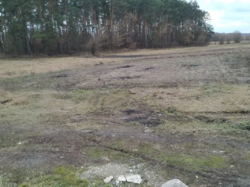 Продаж ділянки через дорогу від лісу, Слобода-Селець фото 10 Продаж ділянки через дорогу від лісу, Слобода-Селець фото 10