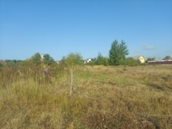 Продається ділянка Житомирська, Житомирський, Тетерівка, Садова фото 4 Продається ділянка Житомирська, Житомирський, Тетерівка, Садова фото 4