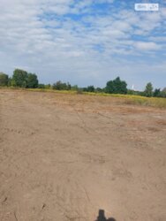 ��������� ������ ����������, ������������, ����������� ���� 5