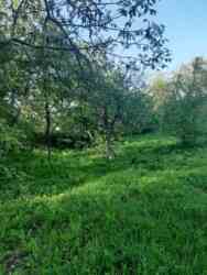    14,6 .  ..(26143857)  17