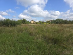 Продається ділянка Житомирська, Житомир, Аеропорт, Коростенська вул. фото 7 Продається ділянка Житомирська, Житомир, Аеропорт, Коростенська вул. фото 7