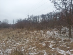 Продаж земельної ділянки12 сот. в с.Станишівка.(26123029) фото 4 Продаж земельної ділянки12 сот. в с.Станишівка.(26123029) фото 4