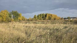 ĳ����� 9 ���. �� ����������. (26155123) ���� 6