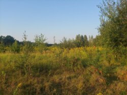 Продається ділянка Житомирська, Житомирський, Дениші, новий масив фото 6 Продається ділянка Житомирська, Житомирський, Дениші, новий масив фото 6