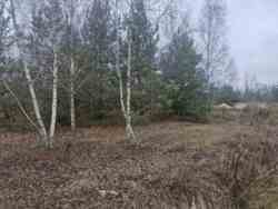 ĳ����� 20 ���. �볿��� (26159460) ���� 2