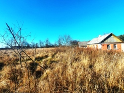 ��������� ������ ������������, ��������, ������������, ����������� ���� 4