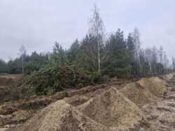 Оліївка 12 сот р-н новобудов. (26159464) фото 5 Оліївка 12 сот р-н новобудов. (26159464) фото 5