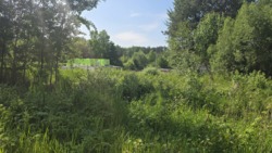 Продається ділянка Тетерівка, з боку річки. фото 4 Продається ділянка Тетерівка, з боку річки. фото 4