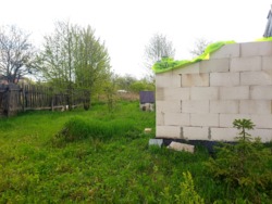 ĳ          (26142819)  7