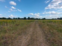 Продається ділянка Житомирська, Житомирський, Вереси, Садова фото 5 Продається ділянка Житомирська, Житомирський, Вереси, Садова фото 5
