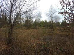 Продаж ділянки в кінці с.Пряжів фото 1 Продаж ділянки в кінці с.Пряжів фото 1