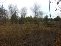 Продаж ділянки в кінці с.Пряжів фото 4 Продаж ділянки в кінці с.Пряжів фото 4