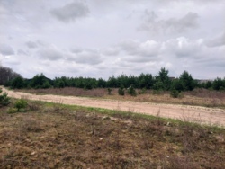 Продається ділянка Житомирська, Житомирський, Пряжів, Лісова/Промислова фото 4 Продається ділянка Житомирська, Житомирський, Пряжів, Лісова/Промислова фото 4