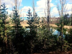 Продається ділянка Житомирська, Житомир, Паперова ф-ка, Слобідська вул. фото 5 Продається ділянка Житомирська, Житомир, Паперова ф-ка, Слобідська вул. фото 5