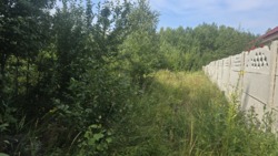 Продаж ділянки 12 сот. Іванівка, лісорозсадник фото 2 Продаж ділянки 12 сот. Іванівка, лісорозсадник фото 2