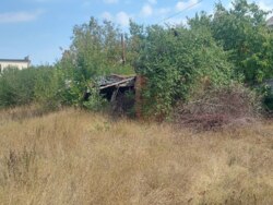 Продається ділянка Житомирська, Житомир, Богунія, Соснова фото 7 Продається ділянка Житомирська, Житомир, Богунія, Соснова фото 7