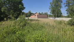 Продається ділянка Тетерівка, з боку річки. фото 2 Продається ділянка Тетерівка, з боку річки. фото 2