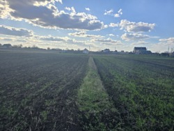 Продаж ділянки 12 соток с.Сінгури фото 1 Продаж ділянки 12 соток с.Сінгури фото 1