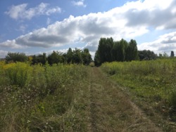 Продаж ділянки 10 сот. р-н аеропора (26126356) фото 7 Продаж ділянки 10 сот. р-н аеропора (26126356) фото 7