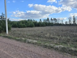 Ділянка 25 соток в с.Пряжів фото 6 Ділянка 25 соток в с.Пряжів фото 6