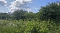 Ділянка варта уваги! Пряжів, 29 соток фото 7 Ділянка варта уваги! Пряжів, 29 соток фото 7