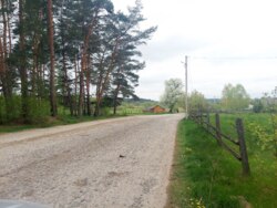 Продається ділянка Житомирська, Житомирський, Давидівка, 22-го Партз'їзду фото 5 Продається ділянка Житомирська, Житомирський, Давидівка, 22-го Партз'їзду фото 5