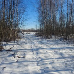 Продаж ділянки 12 соток в Оліївці (26140433) фото 6 Продаж ділянки 12 соток в Оліївці (26140433) фото 6