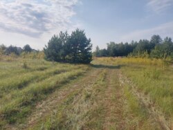 Ділянка під будинок 8 сот. Оліївка фото 4 Ділянка під будинок 8 сот. Оліївка фото 4