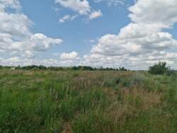 Ділянка 7,3 сот. під будівництво, Коростишів фото 2 Ділянка 7,3 сот. під будівництво, Коростишів фото 2