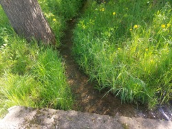 Продаж ділянки 50 соток с.Млинище (26144870) фото 2 Продаж ділянки 50 соток с.Млинище (26144870) фото 2