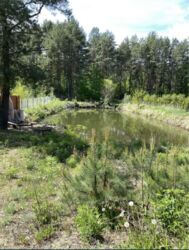 Продається ділянка Житомирська, Житомирський, Тетерівка фото 3 Продається ділянка Житомирська, Житомирський, Тетерівка фото 3