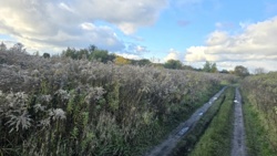 Продаж ділянки, Хутір Хінчанка, новий масив фото 7 Продаж ділянки, Хутір Хінчанка, новий масив фото 7