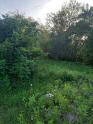    14,6 .  ..(26143857)  11