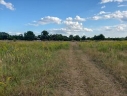 Продається ділянка Житомирська, Житомирський, Вереси, Садова фото 4 Продається ділянка Житомирська, Житомирський, Вереси, Садова фото 4