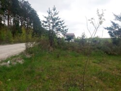 Продається ділянка Житомирська, Житомирський, Іванівка, на Давидівський м-в фото 1 Продається ділянка Житомирська, Житомирський, Іванівка, на Давидівський м-в фото 1