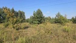 Продаж ділянки 16 сот. Пряжів (26140011) фото 4 Продаж ділянки 16 сот. Пряжів (26140011) фото 4