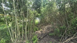 Продаж ділянки 10 соток в районі Смоківка фото 5 Продаж ділянки 10 соток в районі Смоківка фото 5