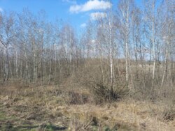   5,36    . (26132609)  7