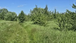 Продаж ділянки р-н Смоківка фото 5 Продаж ділянки р-н Смоківка фото 5