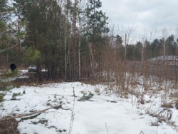 Продається ділянка Житомирська, Житомирський, Новогуйвинське, 'Любава' фото 5 Продається ділянка Житомирська, Житомирський, Новогуйвинське, 'Любава' фото 5