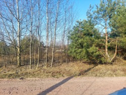 Ділянка 13 соток в с.Пряжів в районі новобудов (2698339) фото 3 Ділянка 13 соток в с.Пряжів в районі новобудов (2698339) фото 3