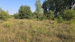 Продаж ділянки 16 сот. Пряжів (26140011) фото 5 Продаж ділянки 16 сот. Пряжів (26140011) фото 5