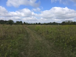 Продаж ділянки р-н аеропорта під будівництво (26145263) фото 4 Продаж ділянки р-н аеропорта під будівництво (26145263) фото 4