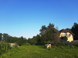 Продаж ділянки 17 соток на початку с.Барашівка фото 1 Продаж ділянки 17 соток на початку с.Барашівка фото 1