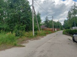 Продається ділянка Житомирська, Житомирський, Новогуйвинське, 'Любава' фото 3 Продається ділянка Житомирська, Житомирський, Новогуйвинське, 'Любава' фото 3