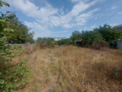 Продається ділянка Житомирська, Житомир, Богунія, Соснова фото 5 Продається ділянка Житомирська, Житомир, Богунія, Соснова фото 5