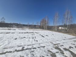 ������ 16,5 ��� � ��������.(26159236) ���� 2